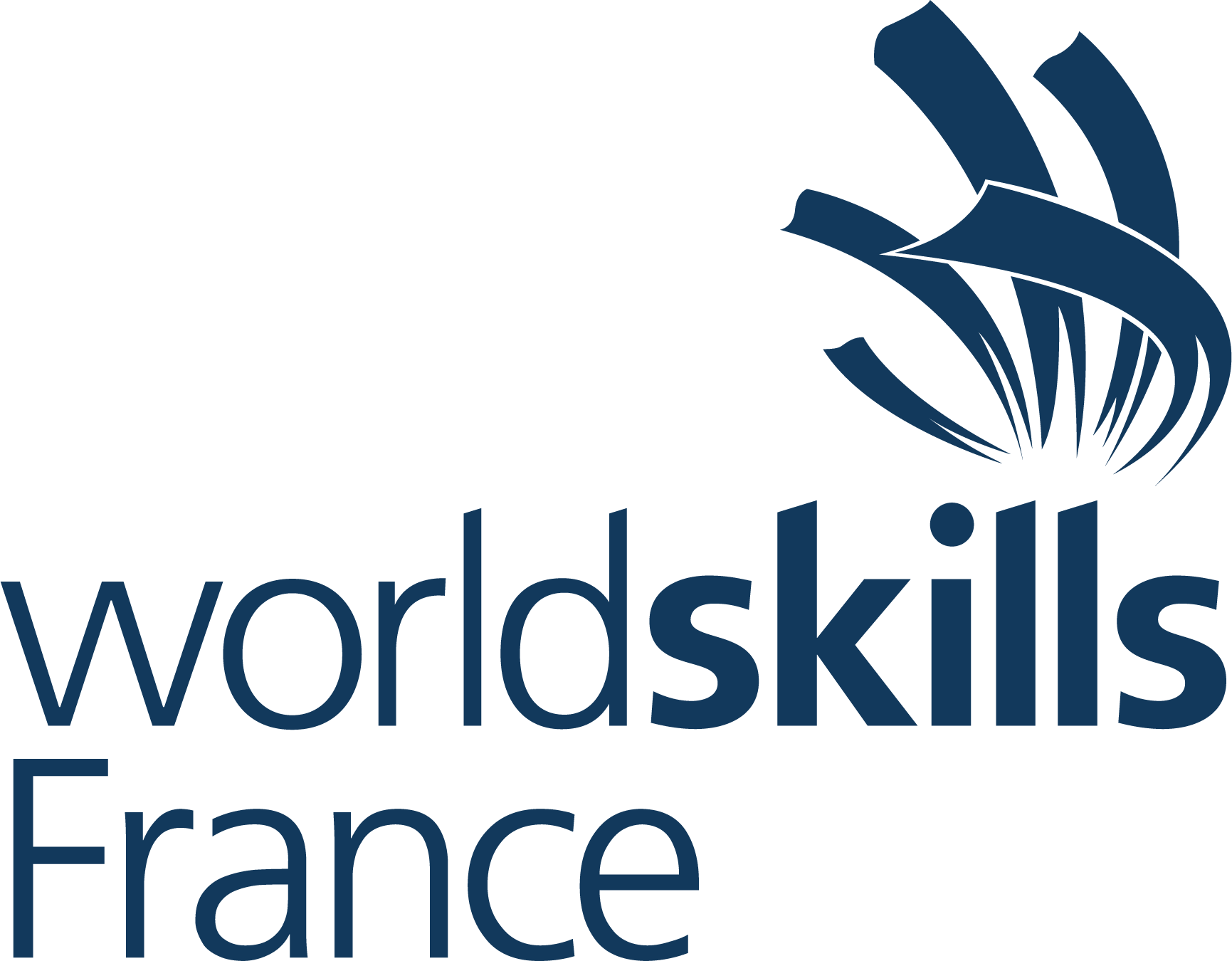 Logo de WorldSkills France